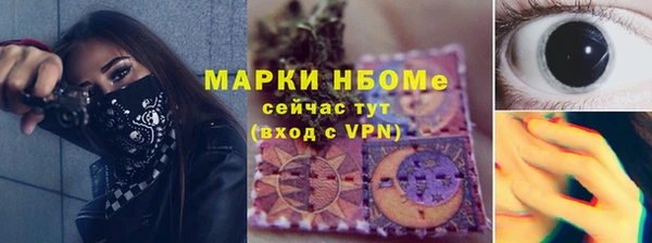 крисы Верхний Тагил