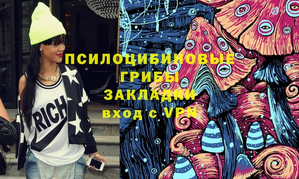 крисы Верхний Тагил